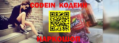 apvp Кингисепп