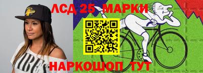 apvp Кингисепп