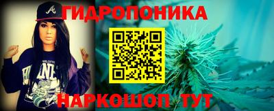 apvp Кингисепп