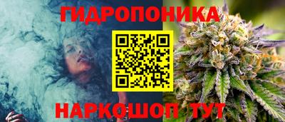 винт Кимры