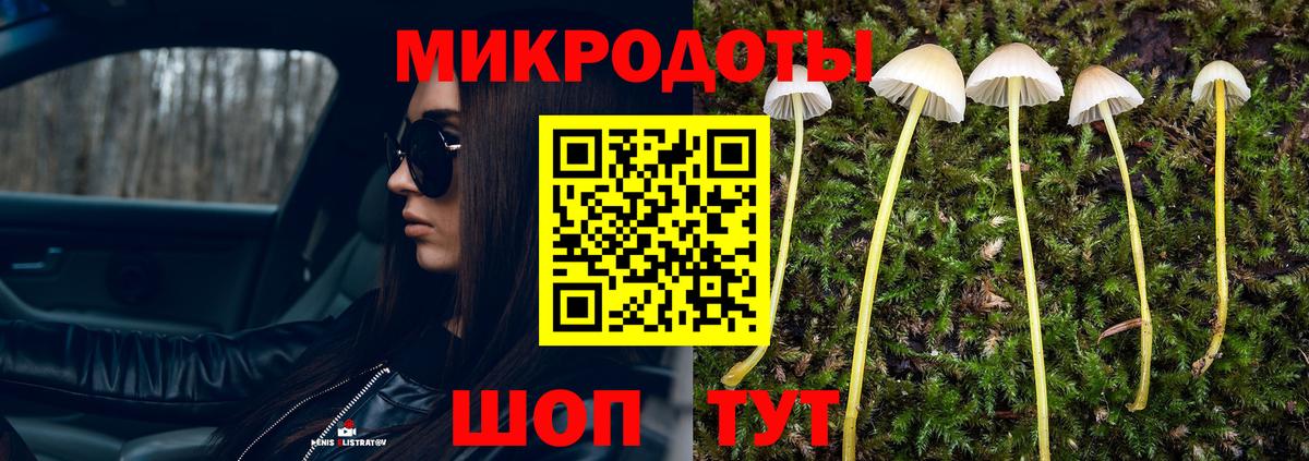 Галлюциногенные грибы мицелий Ивантеевка